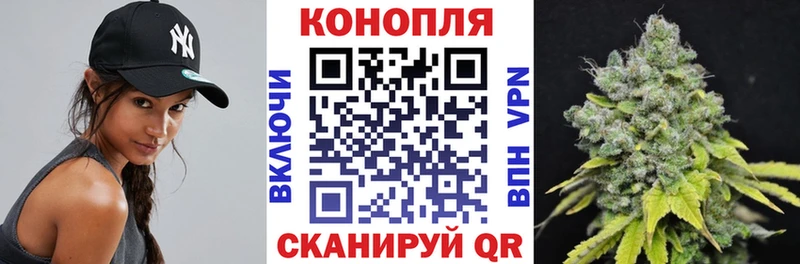 Бошки Шишки OG Kush Шумиха